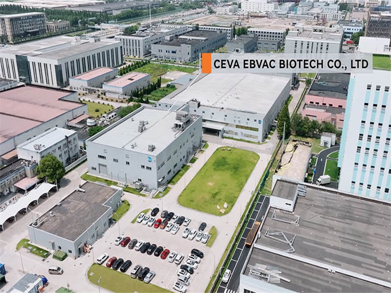 Caso do projeto: Ceva Ebvac Biotech Co., Ltd