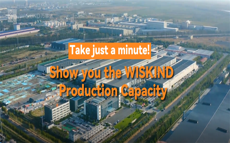 Capacidade de produção de Wiskind