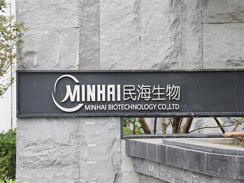 Caso do projeto: Beijing Minhai Biotechnology Co., LTD (Fase II)