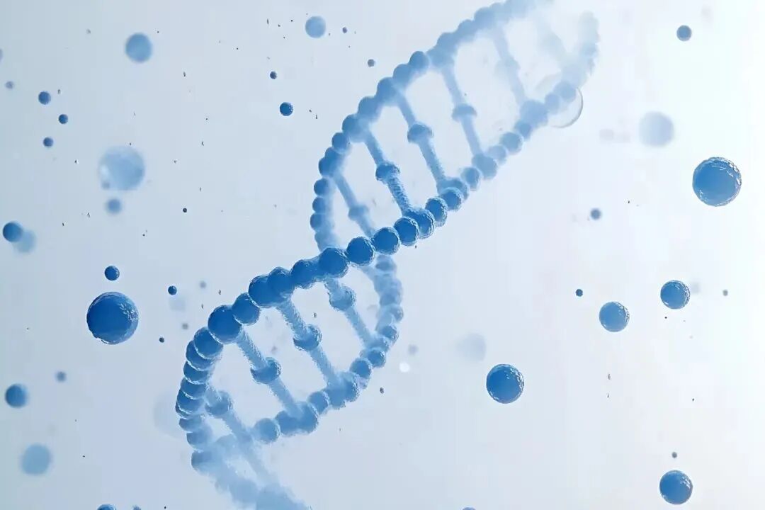 Primeira Universidade de Medicina de Shandong faz parceria com Wiskind para construir um laboratório celular de alta qualidade